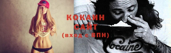 сатива Бронницы