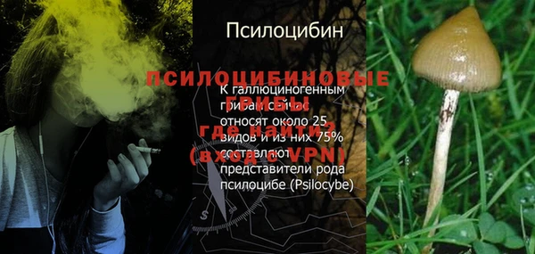 гашик Волосово