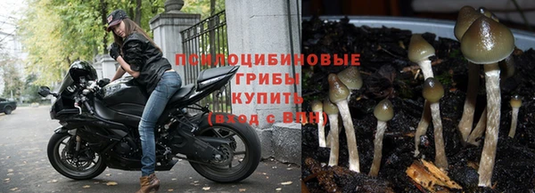 гидра Верея