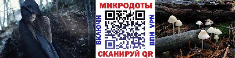 Галлюциногенные грибы MAGIC MUSHROOMS  даркнет сайт  даркнет как зайти  Каменка  MEGA как войти 